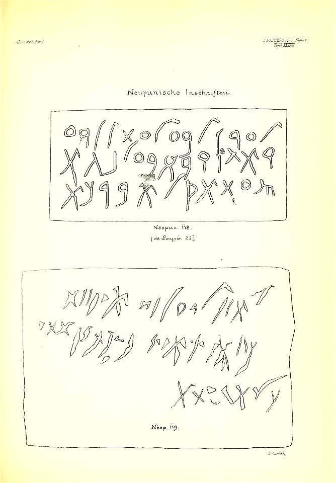 Julius Euting's Punische Steine Table XXXVIII