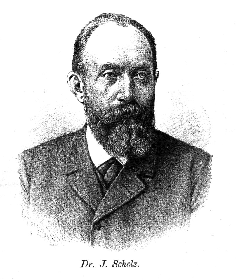Julius Scholz DAV Berlin