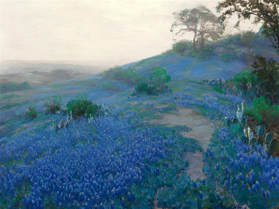 Julian Onderdonk - Blue Bonnet Field, Early Morning, San Antonio Texas (1914)