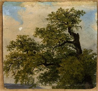 Julius I Schoppe - Trees - M.Ob.2258 MNW - National Museum in Warsaw