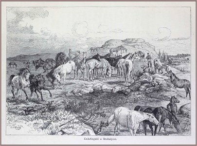 Julius von Blaas Csikólegelő a Stulbalpon, 1890