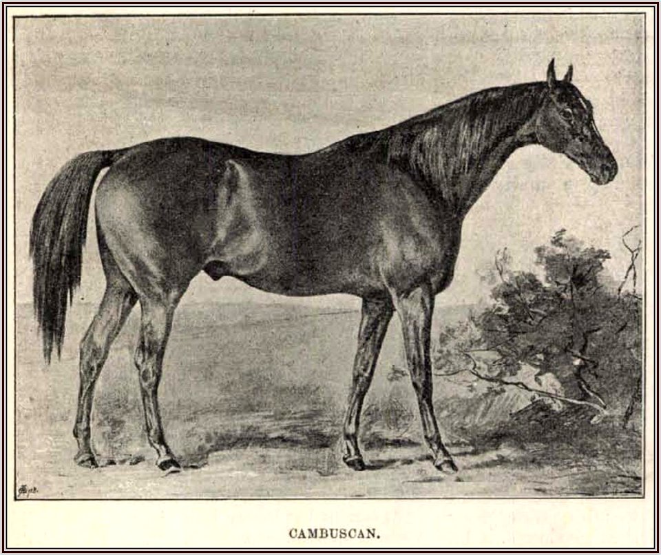 Julius von Blaas, Cambuscan. Vasárnapi Ujság, 1889. szept. 29