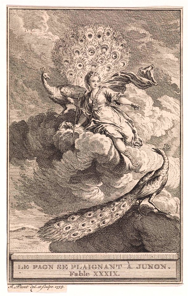 Juno in de wolken