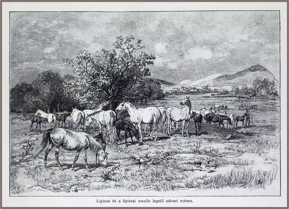 Julius von Blaas Lipica és a lipicai mezőn legelő ménes, 1892