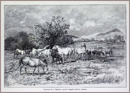 Julius von Blaas Lipica és a lipicai mezőn legelő ménes, 1892