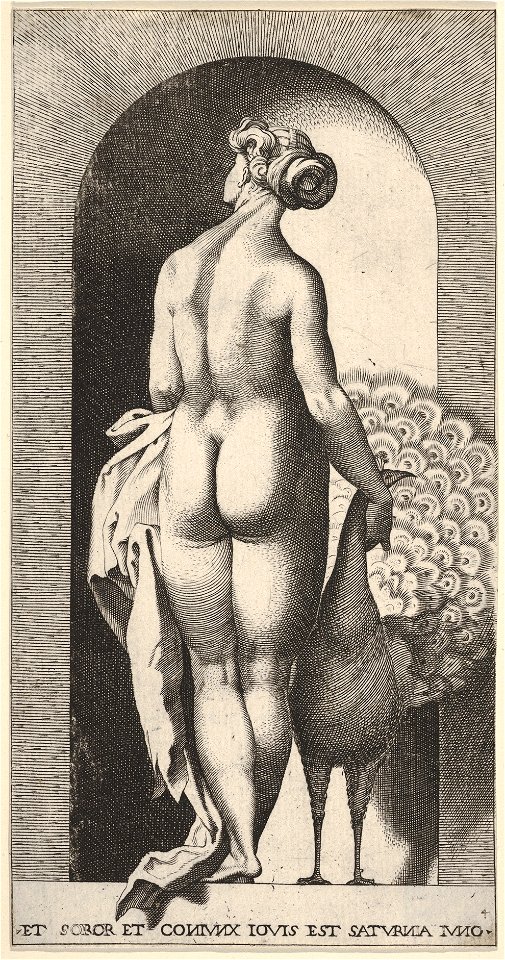 Juno Caraglio