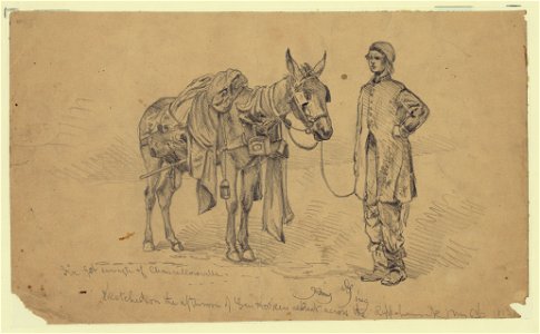 Just from Chancellorsville. An amateur quartermaster LCCN2004661494