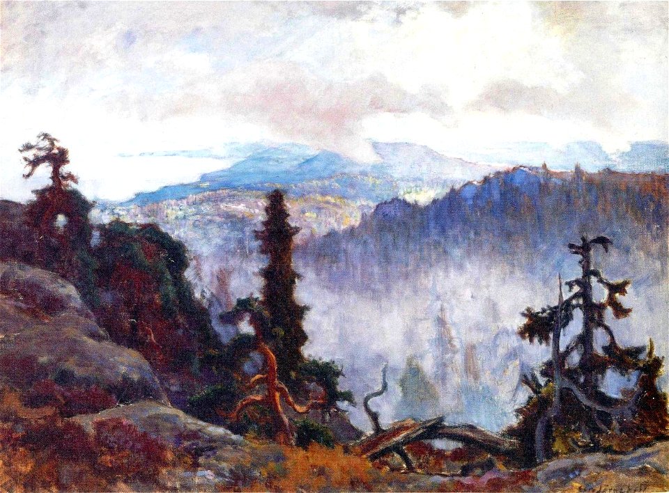 Järnefelt, Iltausva Kolilla