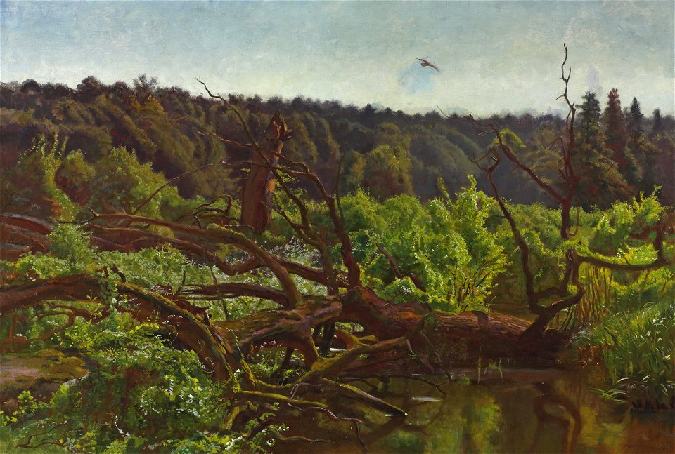 Józef Chełmoński - Deep forest – Windthrows - MP 3969 MNW - National Museum in Warsaw