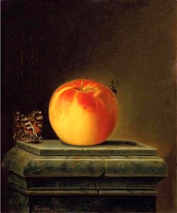 Justus Juncker - Stilleven met appel en insekten - 1614 - Städel Museum