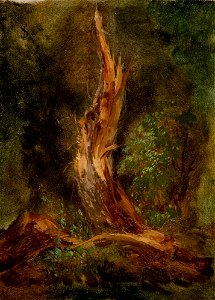 Józef Szermentowski - Volhynian Forest - MNK II-a-969 - National Museum Kraków