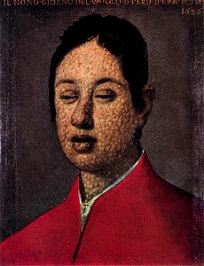 Justus Sustermans - Portrait of Ferdinando II de' Medici - WGA21969