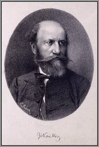 Jókai Mór portré, Koszoru, 1879