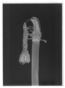 Jägarofficerssabel - Livrustkammaren - 10121-negative