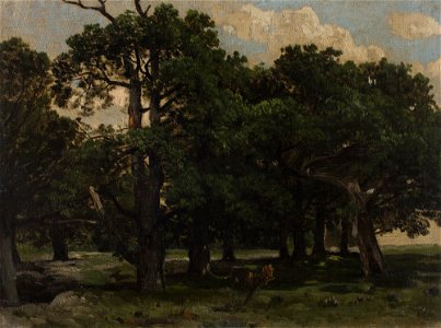 Józef Szermentowski - Pines - MNK II-a-451 - National Museum Kraków