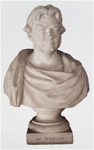 Jöns Jacob Berzelius x Carl Gustaf Qvarnström gips
