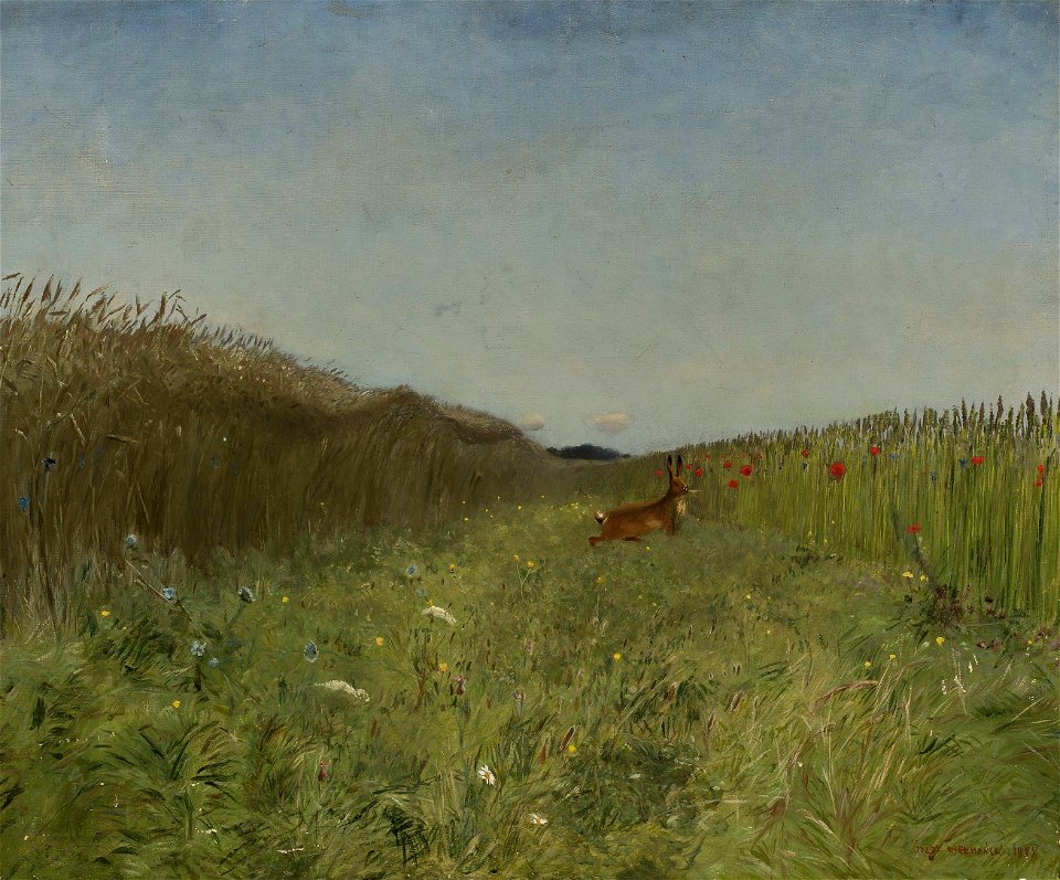 Józef Chełmoński - Hare in the grain - MP 5366 MNW - National Museum in Warsaw
