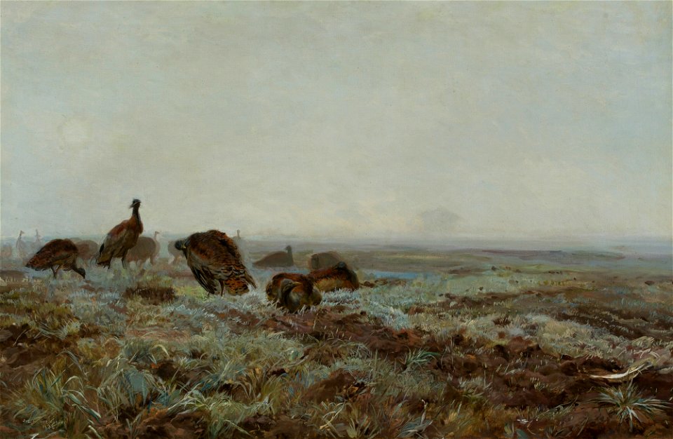 Józef Chełmoński - Bustards - MP 1052 - National Museum in Warsaw