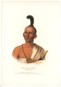 Kai-Pol-E-Quah, White Nosed Fox - R.T. ; drawn, printed & coloured at I.T. Bowen's Lithographic Establishment No. 94 Walnut St. LCCN2013645336