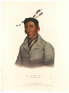 Ka-Ta-Wa-Be-Da, a Chippeway chief - drawn, printed & coloured at J.T. Bowen's Lithographic Establishment, No. 94, Walnut Strt. LCCN95502207