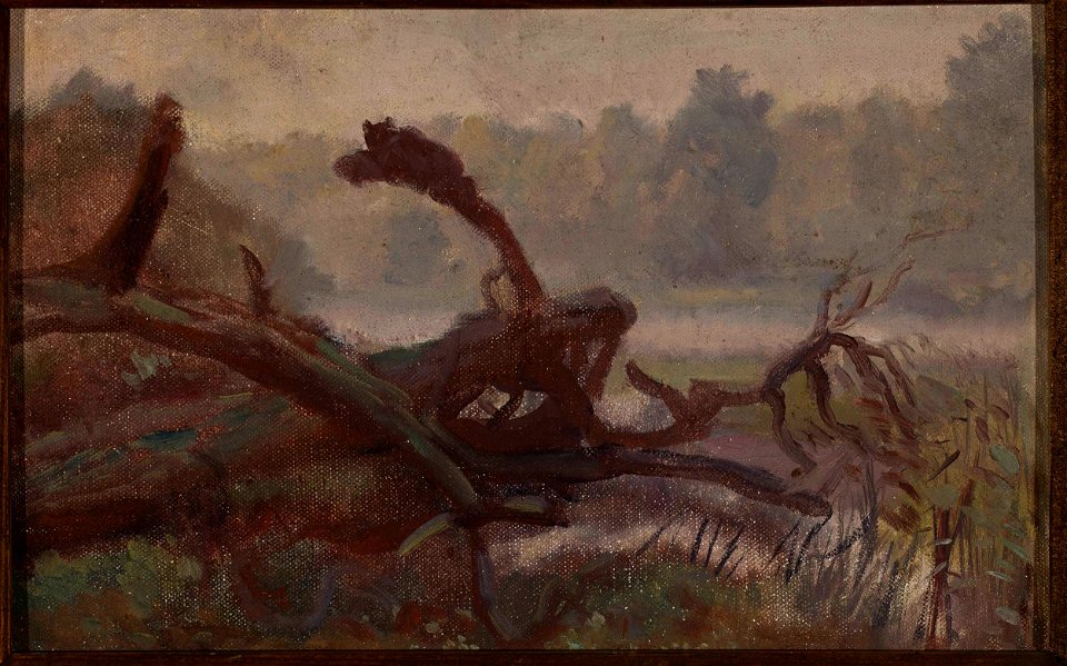 Józef Chełmoński - Deep forest – Windthrows, sketch for a painting - MP 3502 MNW - National Museum in Warsaw