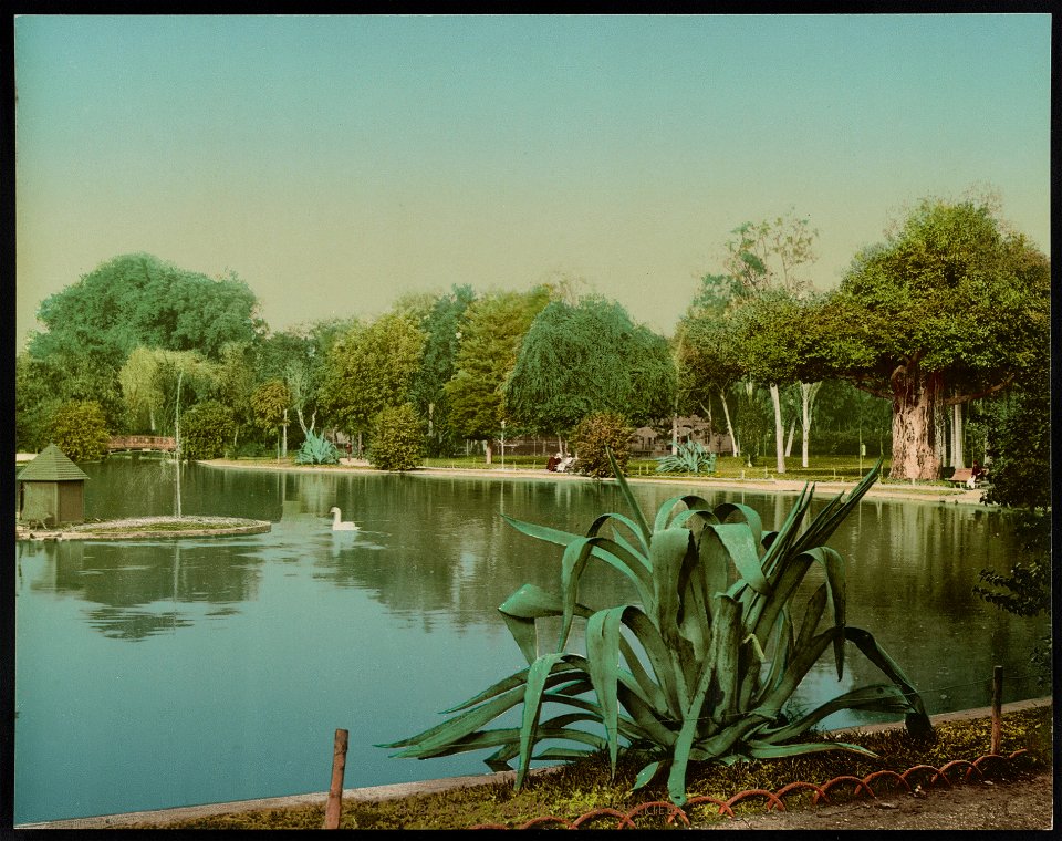 Kairo, Jardin Esbekieh LCCN2017657703
