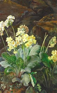 Ludovica Kabell-Rosenørn - Skovbund med gule blomster