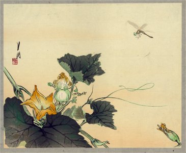 Kabocha ni tonbou LCCN2008660563