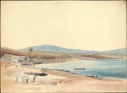 Kahuahai, from the residence of Mr. French, 1855, watercolour by James Gay Sawkins