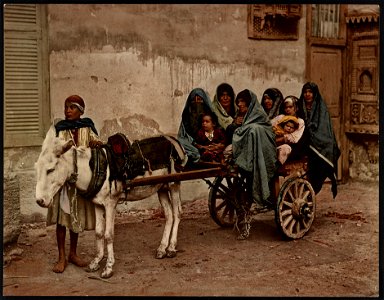 Kairo. Charrette transportant des femmes Arabes LCCN2017657447
