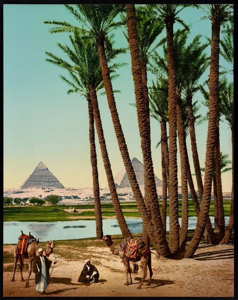 Kairo, palmiers, Bedouins et pyramides LCCN2017656951