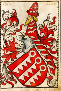 Kaib von Hohenstein Schwaben141ps