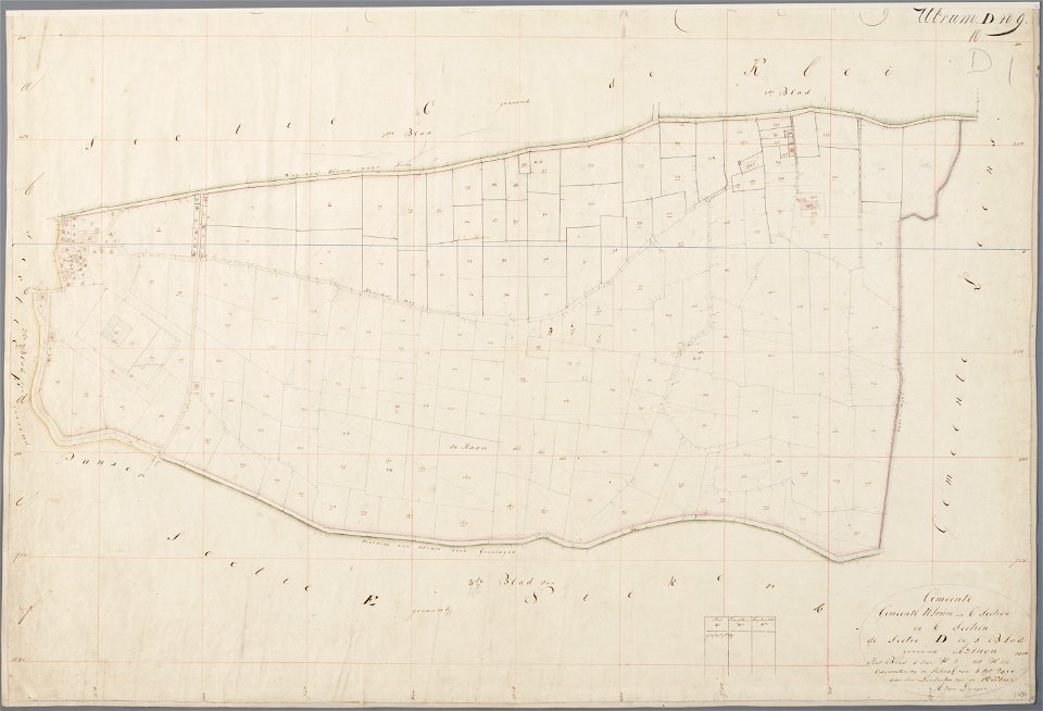 Kadasterkaart Ulrum D 1 (Azinga) - A. van Dongen, 1832 (minuutplan) - Asinga