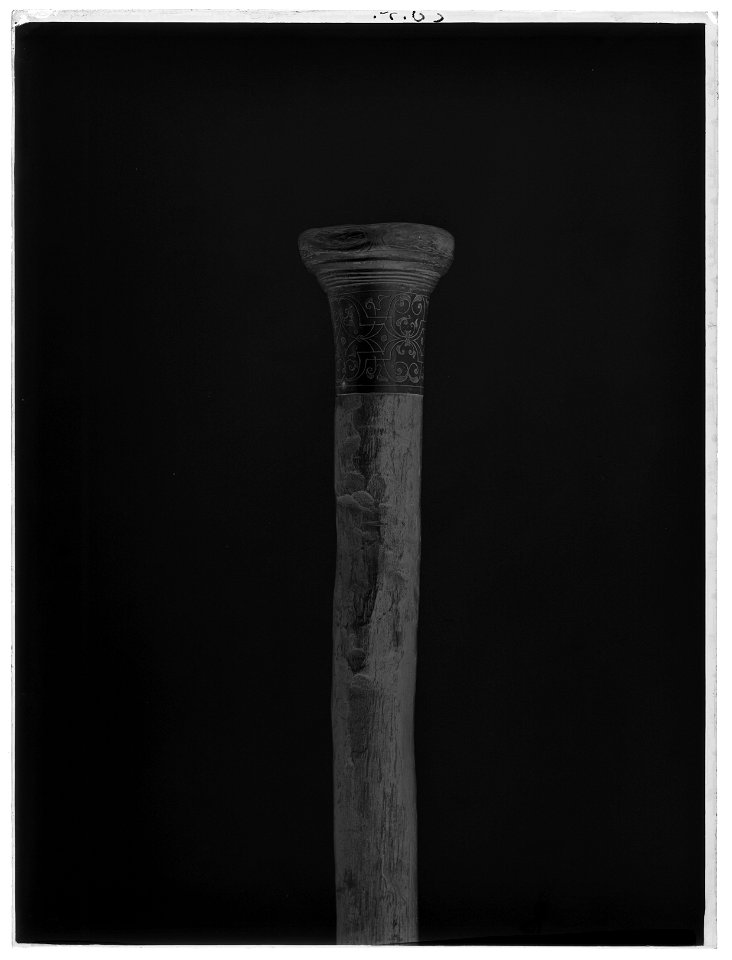 Kanelkäpp - Livrustkammaren - 8731-negative