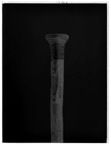 Kanelkäpp - Livrustkammaren - 8731-negative