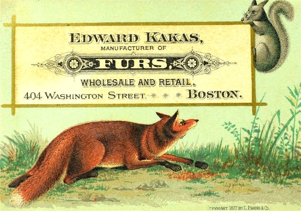 Edward Kakas, mamufacturer of furs, wholesale dealer and retail, Philadelphia