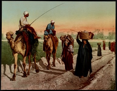 Kairo, paysans et femmes rentrant des champs LCCN2017657434. Free illustration for personal and commercial use.