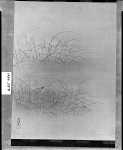 Kano Chikanobu - Susuki Grass and Cricket - 1984.557 - Arthur M. Sackler Museum