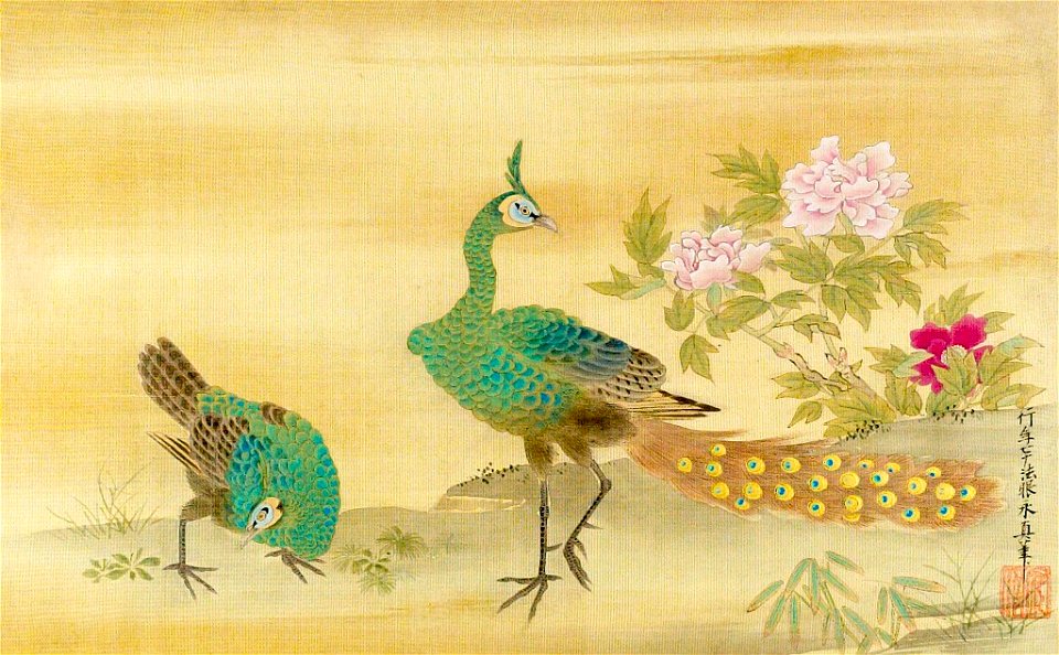 Kano Yasunobu - Peacocks and Peony - 1943.56.21.10 - Arthur M. Sackler Museum