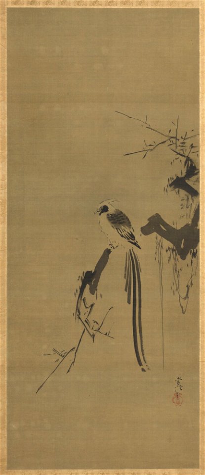 Kano Tsunenobu 狩野常信 - Dove and Long-tailed Bird - 2020-674 a-b - Princeton University Art Museum