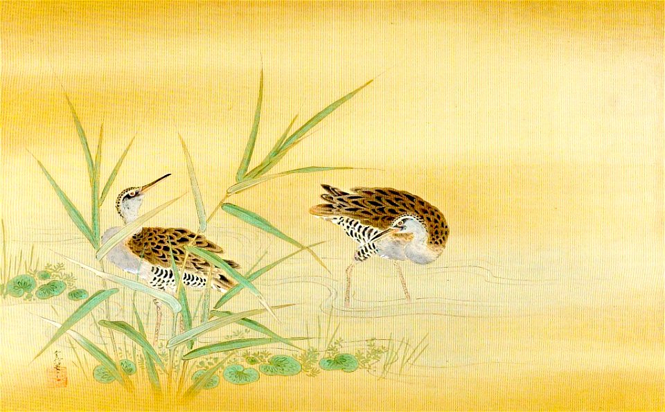 Kano Tsunenobu - Two Snipes in a Stream - 1943.56.21.3 - Arthur M. Sackler Museum