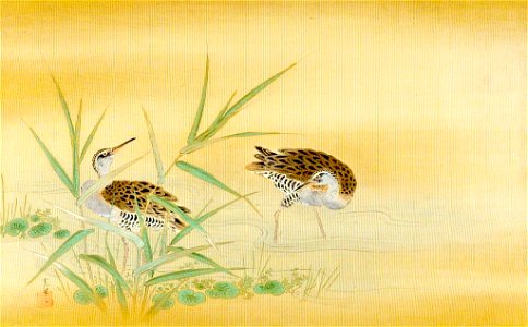 Kano Tsunenobu - Two Snipes in a Stream - 1943.56.21.3 - Arthur M. Sackler Museum