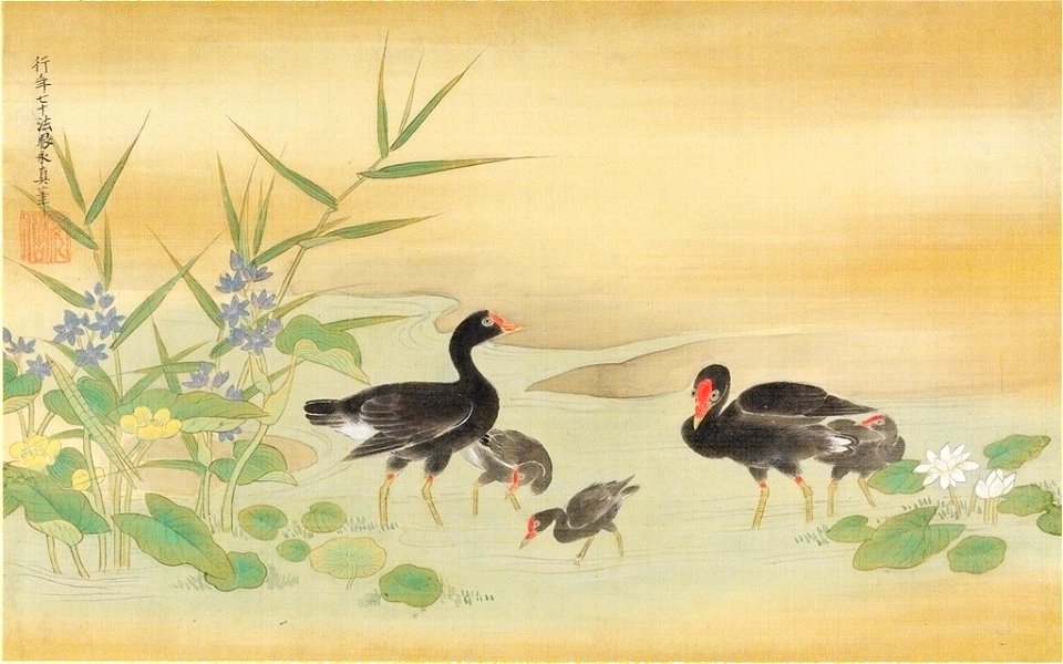 Kano Yasunobu - Black Birds and Tree Chickens in Pond Amid Lotus and Water Plantain - 1943.56.21.11 - Arthur M. Sackler Museum