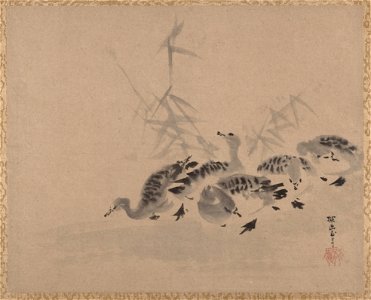 Kano Tan'yū - Ducks and Reeds - 14.76.61.61 - Metropolitan Museum of Art