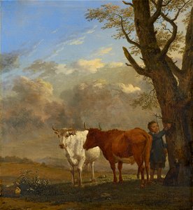Karel du Jardin (Amsterdam c.1626-Venice 1678) - Two Bullocks with a Boy Cutting a Twig - RCIN 404862 - Royal Collection
