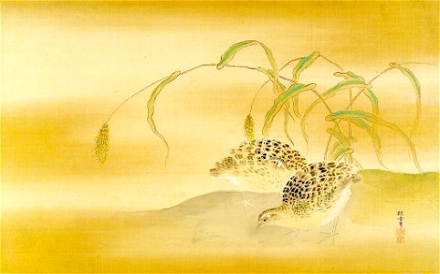 Kano Tansetsu - Pair of Quail and Reeds - 1943.56.21.22 - Arthur M. Sackler Museum