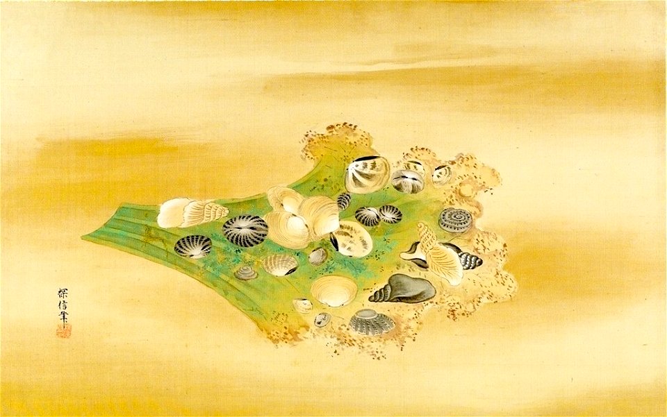 Kano Tanshin - Twenty-Four Sea Shells on a Leaf - 1943.56.21.15 - Arthur M. Sackler Museum