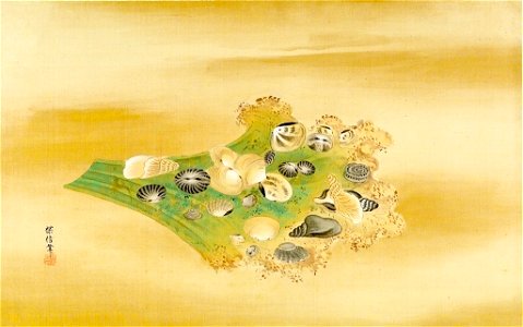 Kano Tanshin - Twenty-Four Sea Shells on a Leaf - 1943.56.21.15 - Arthur M. Sackler Museum