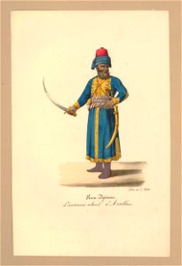 Kara Djeenem (BM 1871,1209.2900)