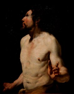 Karel Dujardin Etude de torse